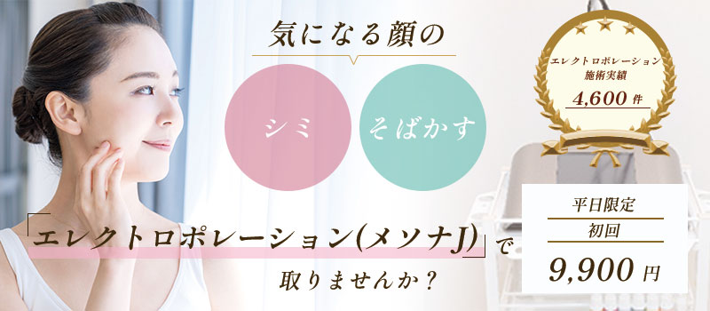 エレクトロポレーション(メソナJ)平日限定 初回 9,900円