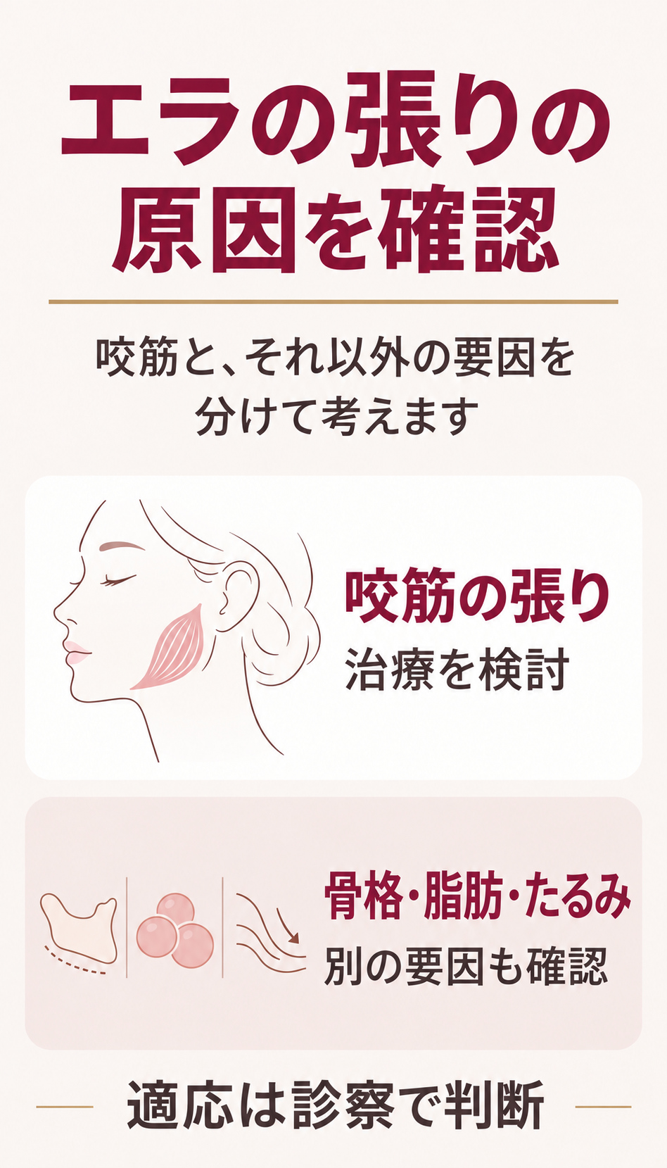 咬筋の張りと、それ以外の輪郭の要因を分けて考える図