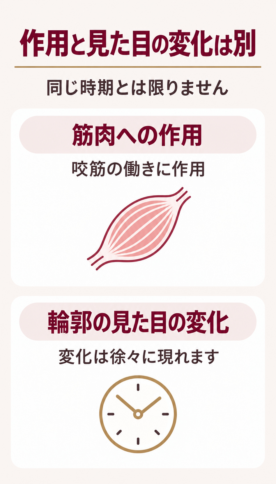 筋肉への作用と輪郭の見た目の変化を分けて考える図